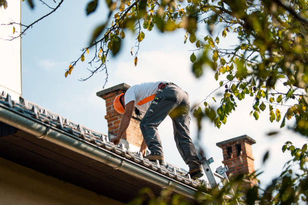 Best Roof Waterproofing Services  in Brilliant, AL