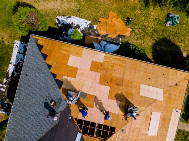 Best Roof Gutter Cleaning  in Brilliant, AL
