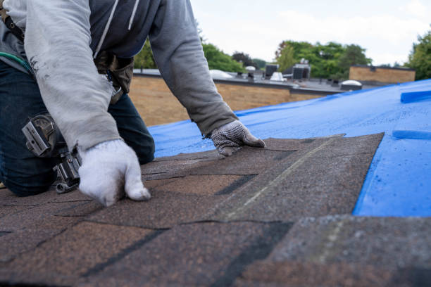 Quick and Trustworthy Emergency Roof Repair Services in Brilliant, AL