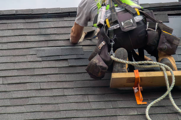 Best Storm Damage Roof Repair  in Brilliant, AL