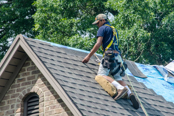 Professional Roofing Contractor in Brilliant, AL